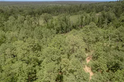 438 Cody Road, Groveton, TX 75845 - Photo 35