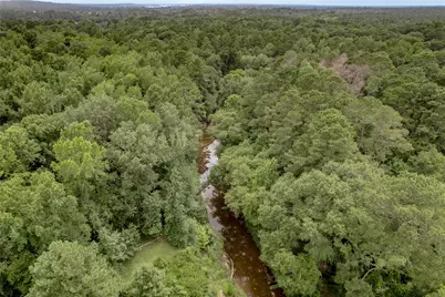 438 Cody Road, Groveton, TX 75845 - Photo 43