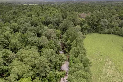 438 Cody Road, Groveton, TX 75845 - Photo 27