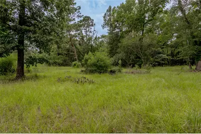 438 Cody Road, Groveton, TX 75845 - Photo 9
