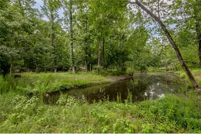 438 Cody Road, Groveton, TX 75845 - Photo 11