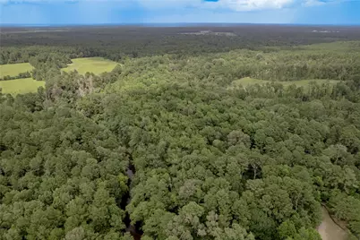 438 Cody Road, Groveton, TX 75845 - Photo 23