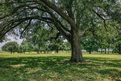9909 Latium Cemetery Rd - Tract 3, Burton, TX 77835 - Photo 15