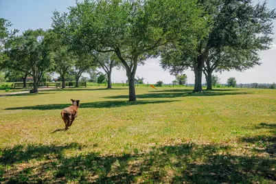 9909 Latium Cemetery Rd - Tract 3, Burton, TX 77835 - Photo 13