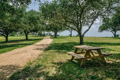 9909 Latium Cemetery Rd - Tract 3, Burton, TX 77835 - Photo 7