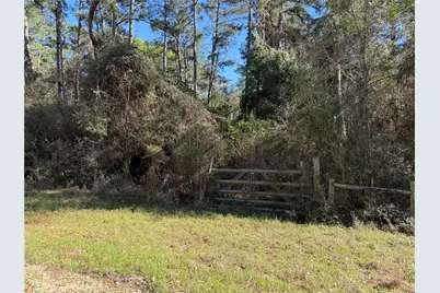4748 County Road 148, Bedias, TX 77831 - Photo 9