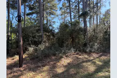 4748 County Road 148, Bedias, TX 77831 - Photo 11