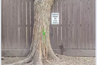 1112 Peveto Street #C, Houston, TX 77019 - Photo 11