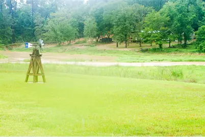 317 Hickory Drive E, Livingston, TX 77351 - Photo 29