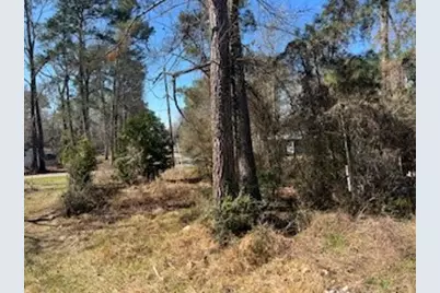 171 Cherry Tree, Livingston, TX 77351 - Photo 11