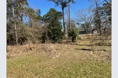 171 Cherry Tree, Livingston, TX 77351 - Photo 3