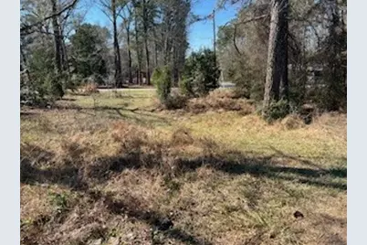 171 Cherry Tree, Livingston, TX 77351 - Photo 9