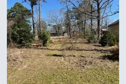 171 Cherry Tree, Livingston, TX 77351 - Photo 5