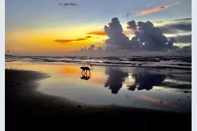 2010 Strand St #301, Galveston, TX 77550 - Photo 11