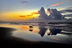 2010 Strand St, Galveston, TX 77550 - Photo 11