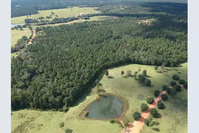 Tbd Lakeland Ranch Lot 278, Hillister, TX 77624 - Photo 5