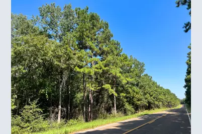 T-3 Fm 256, Woodville, TX 75979 - Photo 7
