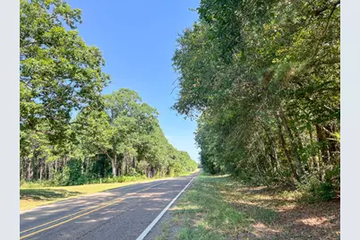 T-3 Fm 256, Woodville, TX 75979 - Photo 5