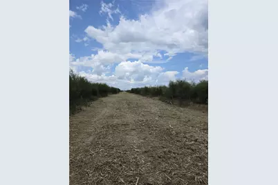 36847 Richard Frey 1-9 Road #9, Hempstead, TX 77445 - Photo 7