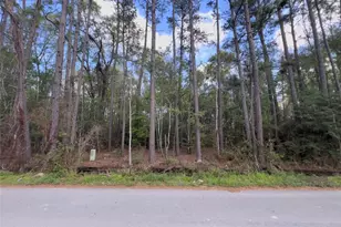 25597 Northampton, New Caney, TX 77357 - Photo 7