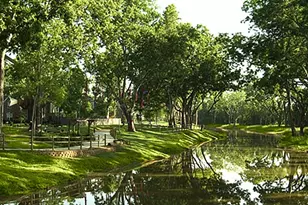 10131 Regal Mist Dr, Missouri City, TX 77459 - Photo 11