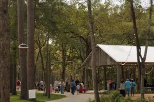 8663 Jam Session Dr, Montgomery, TX 77316 - Photo 19