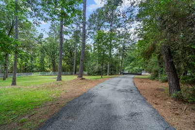 19610 Timber Ridge Drive, Magnolia, TX 77355 - Photo 3