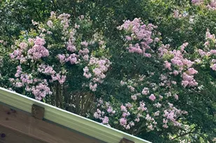 114 Briar Ln, Crockett, TX 75835 - Photo 33