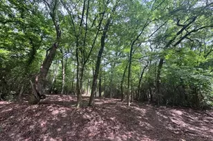 Tbd5 Spreading Oak, Trinity, TX 75862 - Photo 1