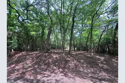 Tbd5 Spreading Oak, Trinity, TX 75862 - Photo 3