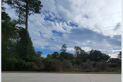 1101 Gladstell Street, Conroe, TX 77304 - Photo 21