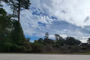 1101 Gladstell St, Conroe, TX 77304 - Photo 21