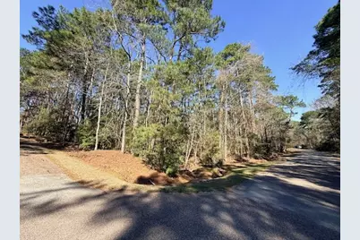 220 & 7 Altwood Drive, Coldspring, TX 77331 - Photo 9