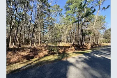 2, 220 & 7 Helena, Altwood Drive, Coldspring, TX 77331 - Photo 7