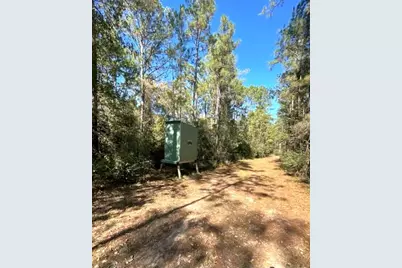 2231 County Road 3550, Woodville, TX 75979 - Photo 49