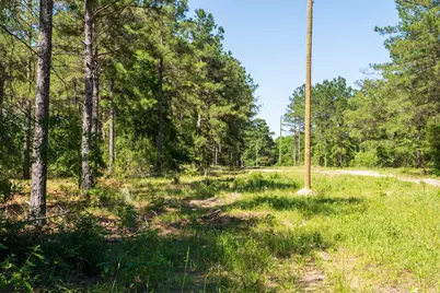 00 00 Fm 3016, Grapeland, TX 75844 - Photo 3