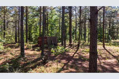 00 00 Fm 3016, Grapeland, TX 75844 - Photo 25