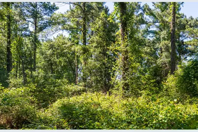 00 00 Fm 3016, Grapeland, TX 75844 - Photo 17