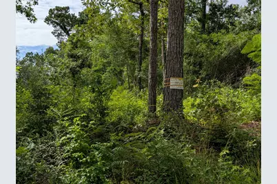 161 Ludies Drive, Livingston, TX 77351 - Photo 3