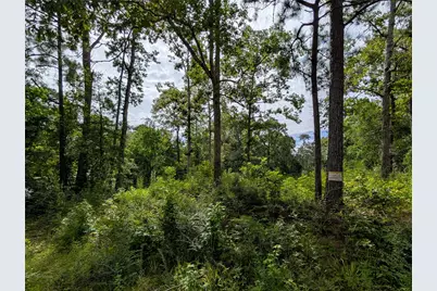 161 Ludies Drive, Livingston, TX 77351 - Photo 7