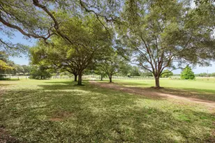 3834 FM949, Cat Spring, TX 78933 - Photo 9