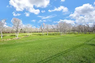 33010 Franklin Brooks Dr, Brookshire, TX 77423 - Photo 19