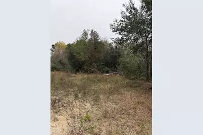 0 County Road 605, Dayton, TX 77535 - Photo 7