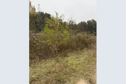 0 County Road 605, Dayton, TX 77535 - Photo 9