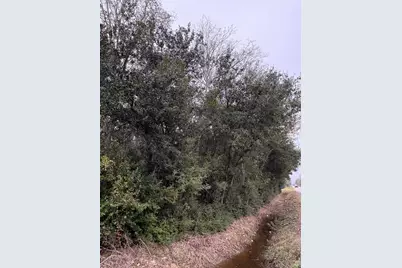 0 County Road 605, Dayton, TX 77535 - Photo 5