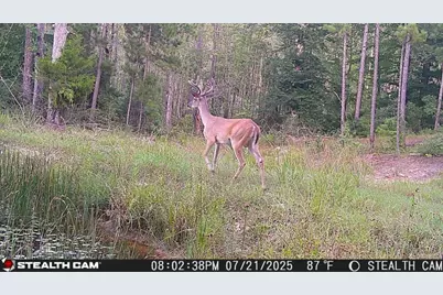 0 0 Private Rd Behind Airport, Woodville, TX 75979 - Photo 21