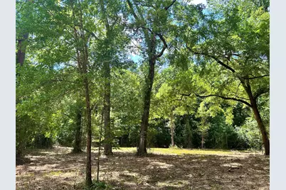 50 G Jock Street, Livingston, TX 77351 - Photo 13