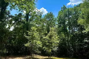 50G Jock St, Livingston, TX 77351 - Photo 1