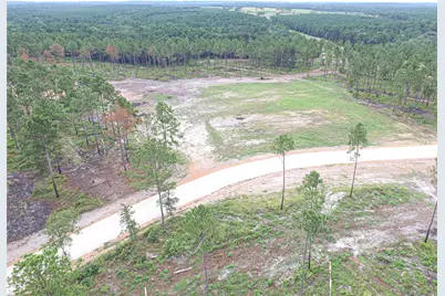 009 Nelson Dr, Livingston, TX 77351 - Photo 3