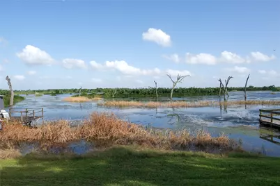 29523 County Road 25, Damon, TX 77430 - Photo 31